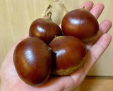 栗の渋皮煮✨作り方1写真