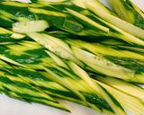 しっとりササミの棒棒鶏☆濃厚胡麻ダレ!作り方3写真