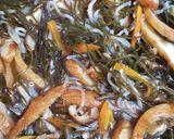 〔常備菜〕昆布の五目煮＊おつまみにも作り方11写真