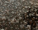 れんこんとひじきと枝豆のサラダ作り方1写真
