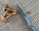 キングなめこの天ぷら｜食べ応えバツグン！作り方1写真
