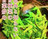 人気これだけで店の味チンゲン菜の青菜炒め作り方6写真