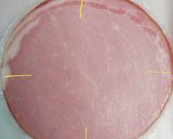 ハムカップオムレツ～お弁当のおかず～作り方2写真
