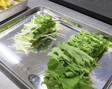 水菜とツナのペペロンチーノスパゲッティー作り方2写真