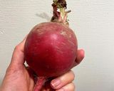モモのすけと人参のなます作り方1写真