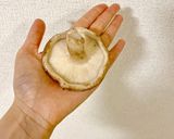 椎茸和風餃子作り方9写真