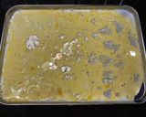 Cotolette di Pollo作り方1写真