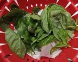 変色なし♪チーズなし手作りバジルペースト作り方1写真