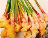 葉しょうがの豚巻き照焼き作り方1写真