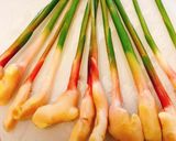 葉しょうがの豚巻き照焼き作り方2写真