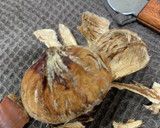 冷凍した栗の渋皮煮作り方2写真