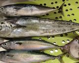 魚の竜田揚げ作り方1写真