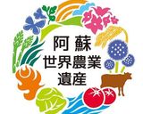 阿蘇の野菜たっぷり！和風チンジャオロース作り方8写真