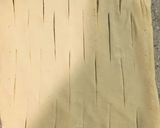 梨のパイ作り方5写真