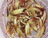 みょうがのツナかんたん酢和え作り方1写真
