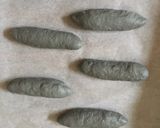セサミンたっぷり黒煉胡麻入り黒パン♫作り方4写真