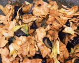 豚肉と揚げナスの八丁味噌炒め作り方5写真