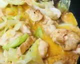 鶏肉の玉子キャベツ炒め作り方3写真