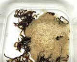 レンジで2分!もやしと塩昆布の作り置き作り方1写真