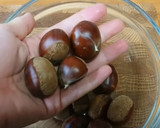 【完全解説】渋皮煮用の生栗の鬼皮の剥き方作り方1写真
