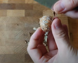【完全解説】渋皮煮用の生栗の鬼皮の剥き方作り方11写真