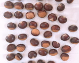 炊飯器 de むき栗作り方1写真