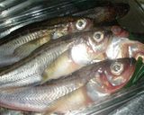 はたはたの煮付け作り方1写真