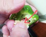 こんなに違う、ピーマンのヘタ、種取り作り方3写真
