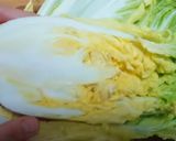 おうちで中華♡ただ和えるだけ！白菜の冷菜作り方1写真