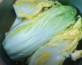 おうちで中華♡ただ和えるだけ！白菜の冷菜作り方3写真