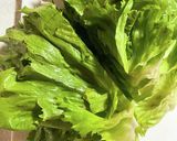 レタスの外葉のおひたし作り方3写真