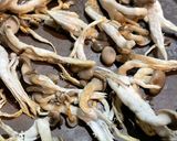 ゴルゴンゾーラに平茸のパスタ作り方2写真