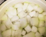 うまっ トロトロ冬瓜の鶏肉入り煮物作り方5写真