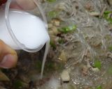この春巻が幼少期の定番だった作り方8写真