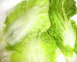ロール白菜【和風味】作り方9写真