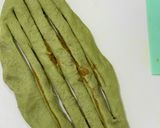 ハロウィンかぼちゃのパン作り方6写真
