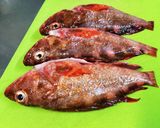 がしらのなんちゃってアクアパッツァ作り方1写真