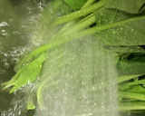 ずぼら☆冷凍保存用の茹でほうれん草作り方2写真