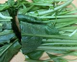ずぼら☆冷凍保存用の茹でほうれん草作り方3写真