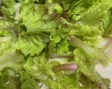 極上の豆腐サラダ作り方1写真