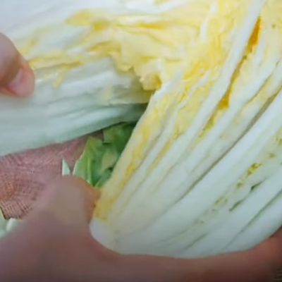 置くだけ簡単！自然発酵の酸菜（白菜漬物） by おうちで中華