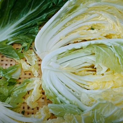 置くだけ簡単！自然発酵の酸菜（白菜漬物） by おうちで中華