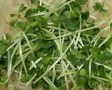 レンジで2分！もやしとわかめのサラダ作り方2写真