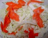 白菜の中華風　甘酢漬け作り方1写真