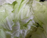 炊飯器で。キャベツと鶏肉の煮込み作り方1写真