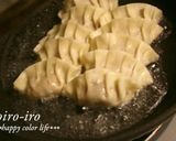 トイロ家のジューシー白菜餃子♪作り方13写真