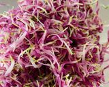 簡単♡菊の花(もってのほか)の下ごしらえ作り方6写真