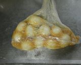 材料3つ★うずらの味噌漬け作り方3写真