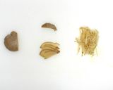 鍋で牛飯/災害時レシピにも作り方16写真