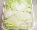 白菜の浅漬 パテモソ流作り方2写真